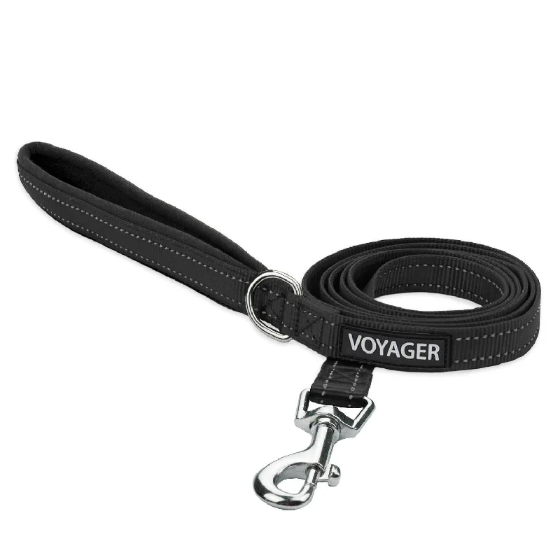 Pet accessoriesHalloween Reflective Pet Leash