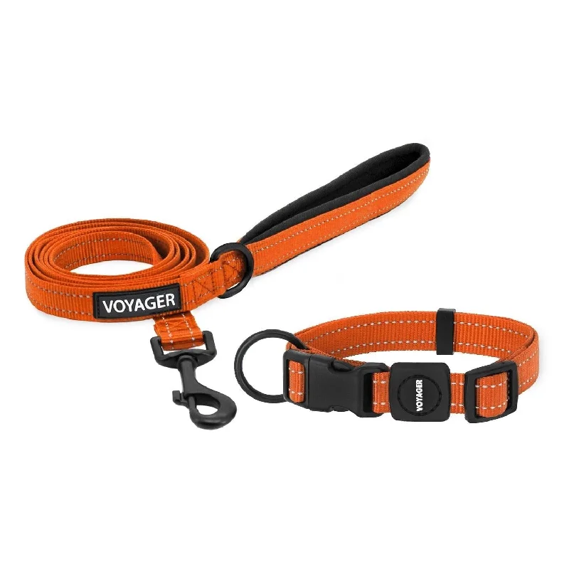 ### General pet accessoriesHalloween Voyager Leash and Collar Set