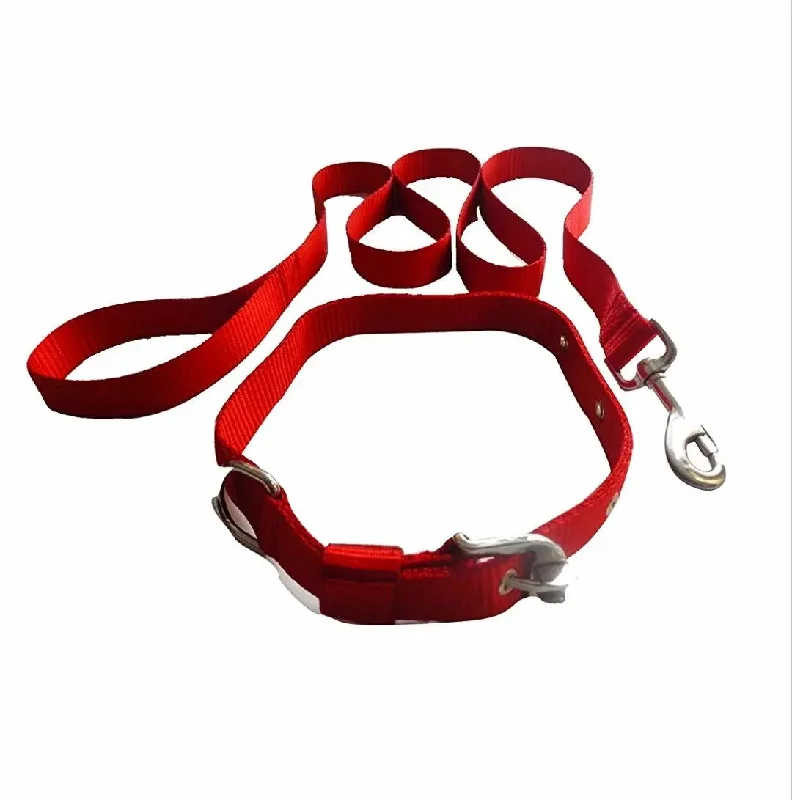 - Cat toy rankingsAdidog Dog Collar Set