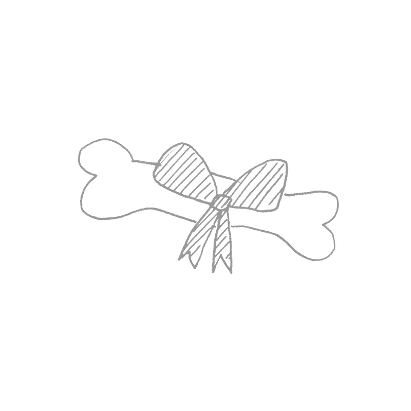  . **Pet traction rope is anti-explosion**Illustration: Ribbon Bone