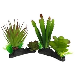 - ​​Christmas pet Christmas clothingKomodo Cactus Succulent Plant - One Size