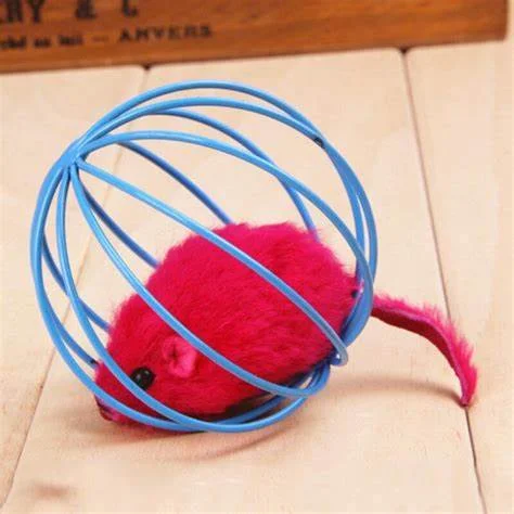 - Dog disposable foam shower gelKitten Play wire ball with mouse inside