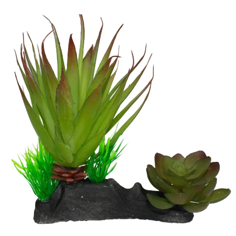 - Cat anti-jump window safety netKomodo Succulent Plant - One Size