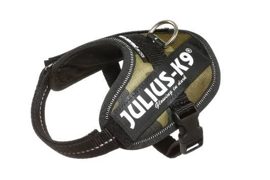 - Elderly dog ​​joint care mattressJulius K9 IDC Power Harness