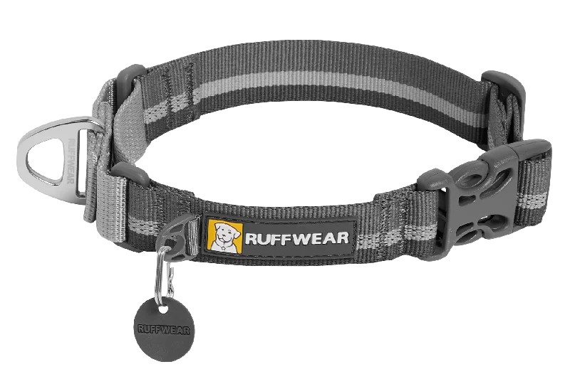  . **Cat toy cat teaser**Web Reaction™ Martingale Dog Collar With Buckle