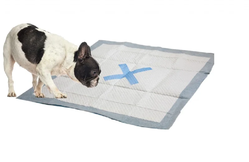  -Non-contact cat thermometerEthical Pet X Marks the Spot  Puppy Pad