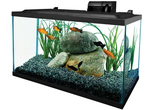 Pet ProductsTetra Glass Aquarium, 10-gal