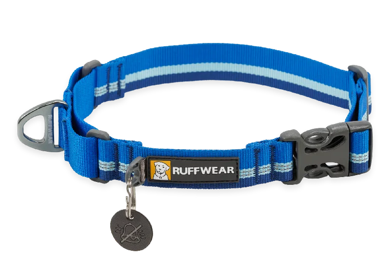 ### Cat accessoriesWeb Reaction™ Martingale Dog Collar With Buckle