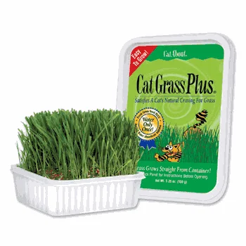 - Climbing pet constant temperature heating padGimborn Cat Grass Plus 150gm