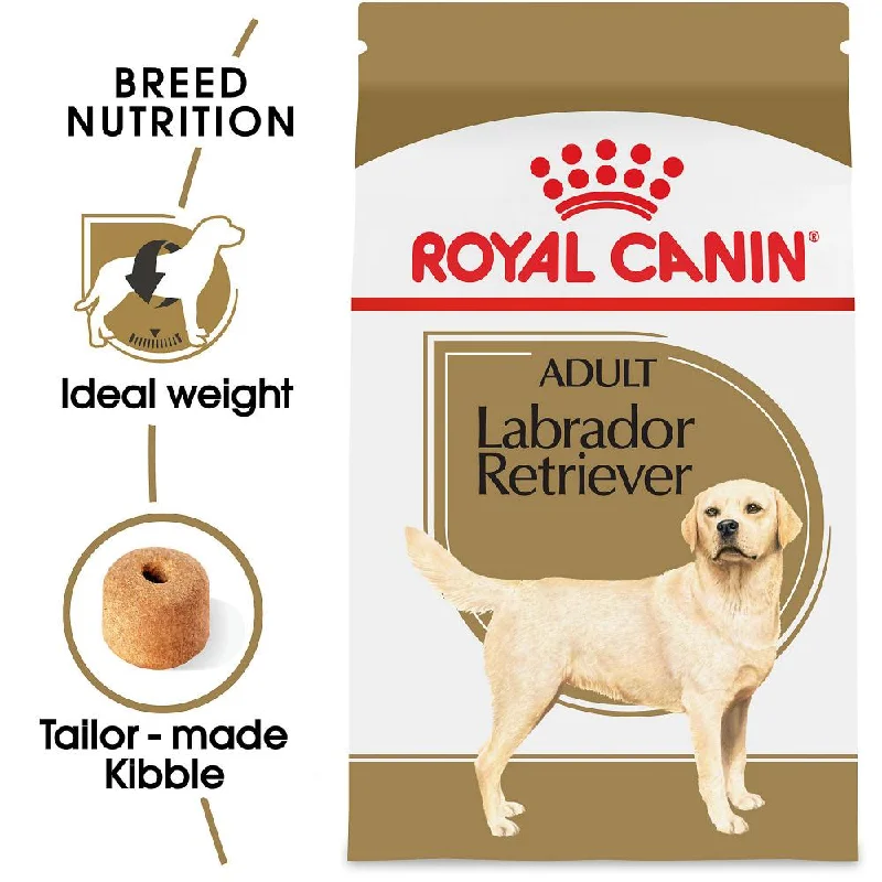 - Elderly dog ​​joint care mattressRoyal Canin Breed Health Nutrition Labrador Retriever Adult Dry Dog Food