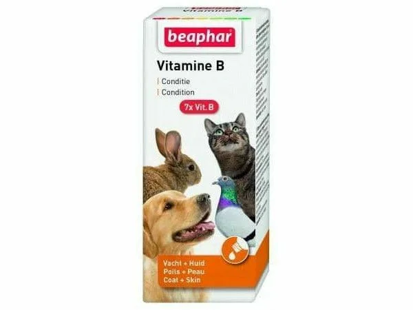 - Winter warm clothes for short-haired dogsVitamin B Complex - 50 ml