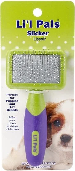  -Splash-proof food bowl AND Anti-choking slow food bowlLil Pals Tiny Slicker Brush for Small Dogs and Puppies