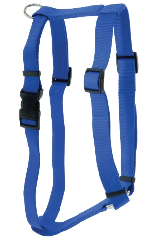 - Pet monitor with cameraCoastal Pet Standard Adjustable Dog Harness - BLUE