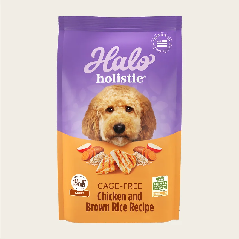 - Where to buy imported dog foodHolistic Cage-Free Chicken & Brown Rice Recipe Adult Dry Dog Food