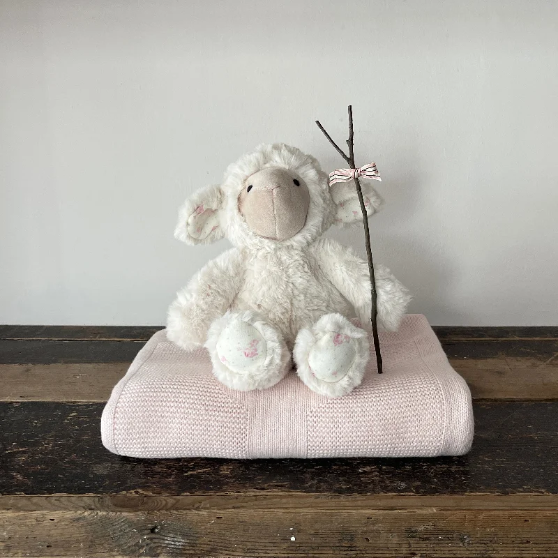  . **Pet collar with custom engraving**Lifestyle Image: Comfort Blanket and Lettice the Lamb