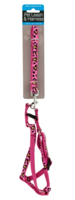 ---Small Cheetah Print Pet Leash & Adjustable Harness