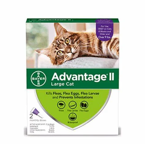 - Elderly dog ​​joint care mattressAdvantage II Vet-Recommended Flea Prevention