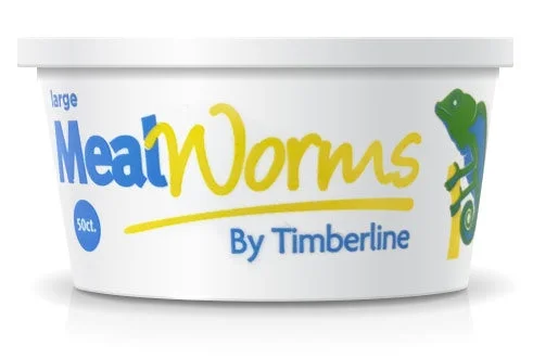 - Hamster silent running wheel to prevent chewingTimberline Meal worms 50ct