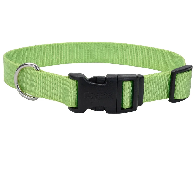 - Pregnant cat delivery room warming boxCoastal Adjustable Dog Collar with Plastic Buckle