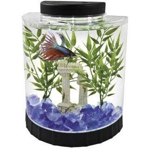 - Rabbit grass rack to prevent waste food boxTetra LED Half Moon Betta Kit 1.1 Gal Tank