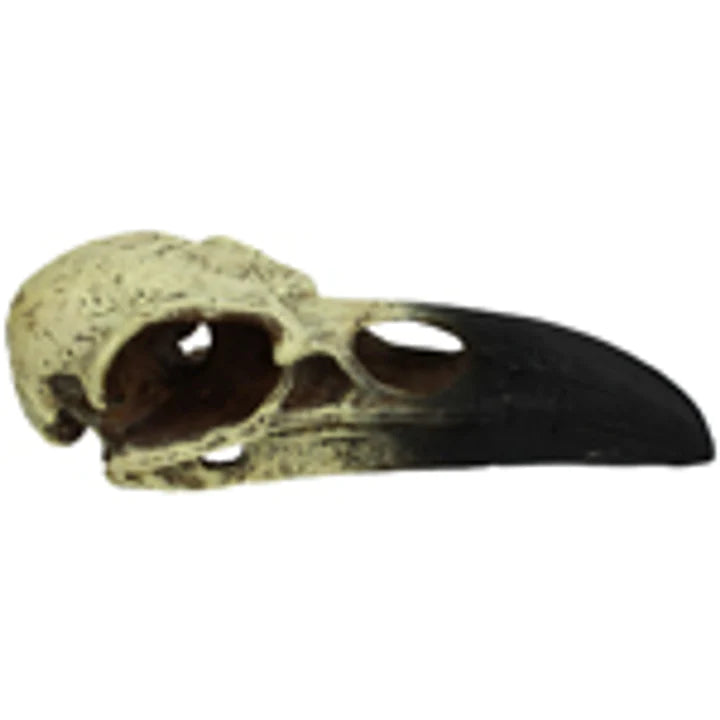 - Winter dog thick down jacketKOMODO RAVEN SKULL HIDEOUT 1EA/MD, 6 IN