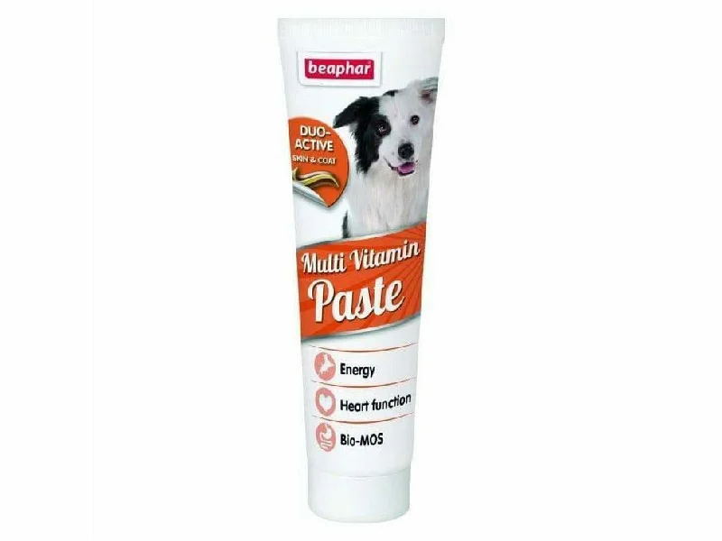 - Cat anti-jump window safety netDuo Active Paste Multivitamin Dog 100g