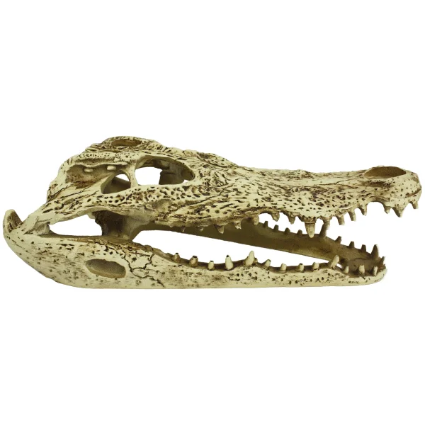 - Pet vitamin complex nutrition tabletsKomodo Alligator Skull Tank Ornament