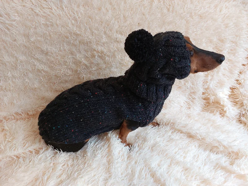 Pet Halloween clothesAlpaca wool costume with classic arana sweater and hat for dachshund or small dog, winter set sweater and hat for dogs