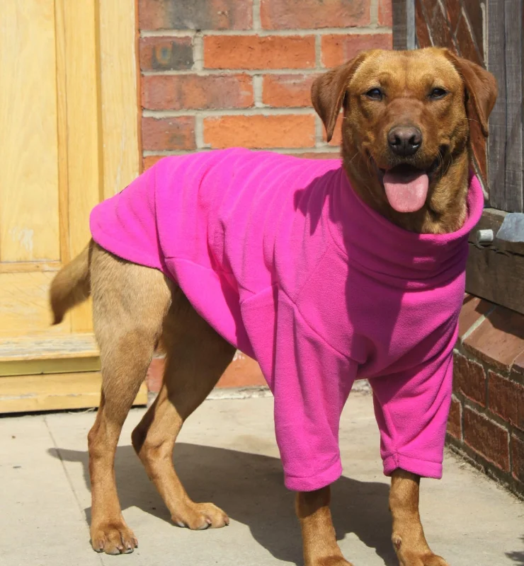 Classification by pet type:Valiant Dog Jumper Fuchsia Pink