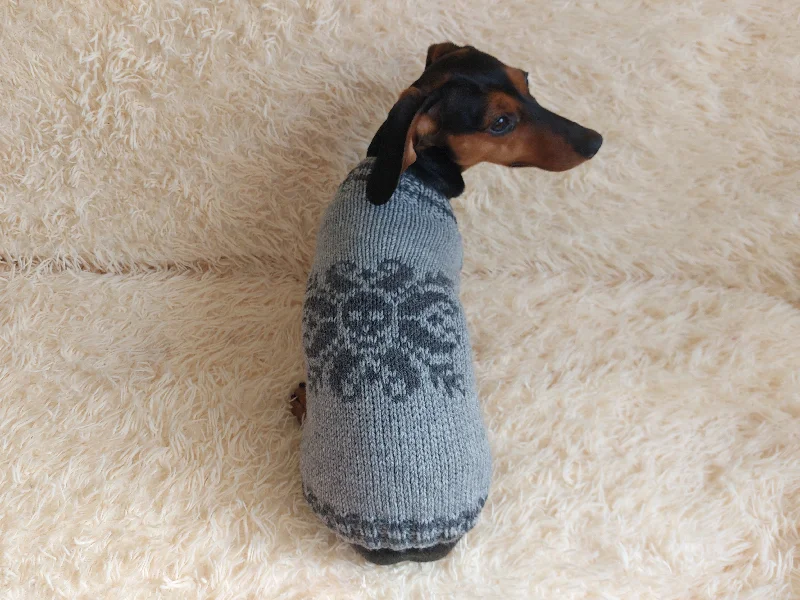 Winter warm clothes for catsClothes for a dachshund or small dog knitted winter wool warm jumper with a pattern