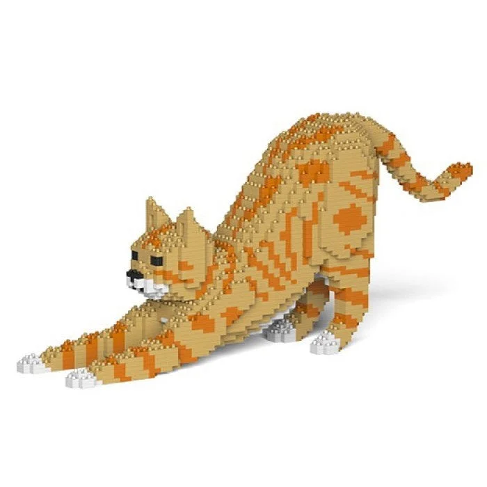    - Cat food for picky eaters  Jekca: Ginger Cat Stretch