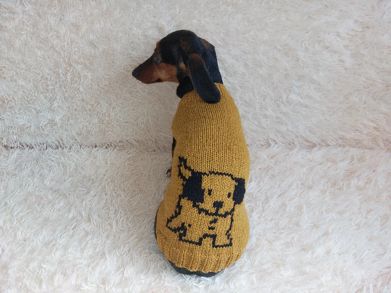 Pet walking leash setKnitted sweater with a dog for dachshunds or small dogs,Knitted clothes for dogs jumper with a dog