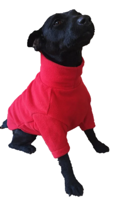 Pet summer light clothesValiant Dog Jumper Red