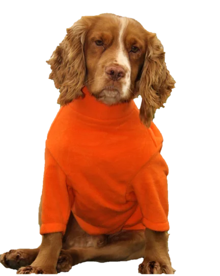 Classification by function or use:Valiant Dog Jumper Orange