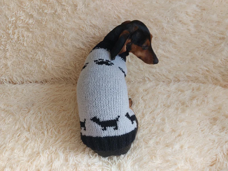 Pet sun protection clothesClothes for a dachshund or small dog knitted winter wool warm jumper with a pattern