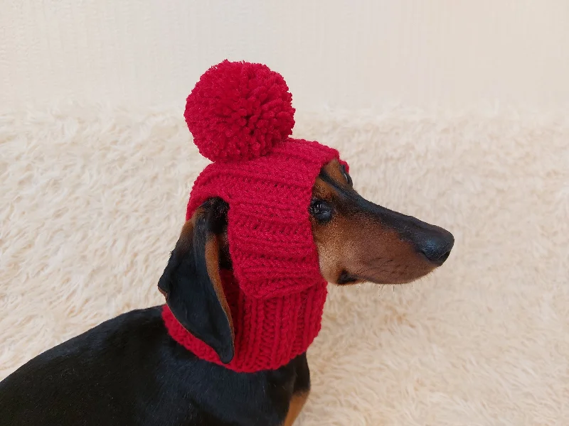 Pet birthday party clothesHat for dog with pompom and holes for the ears