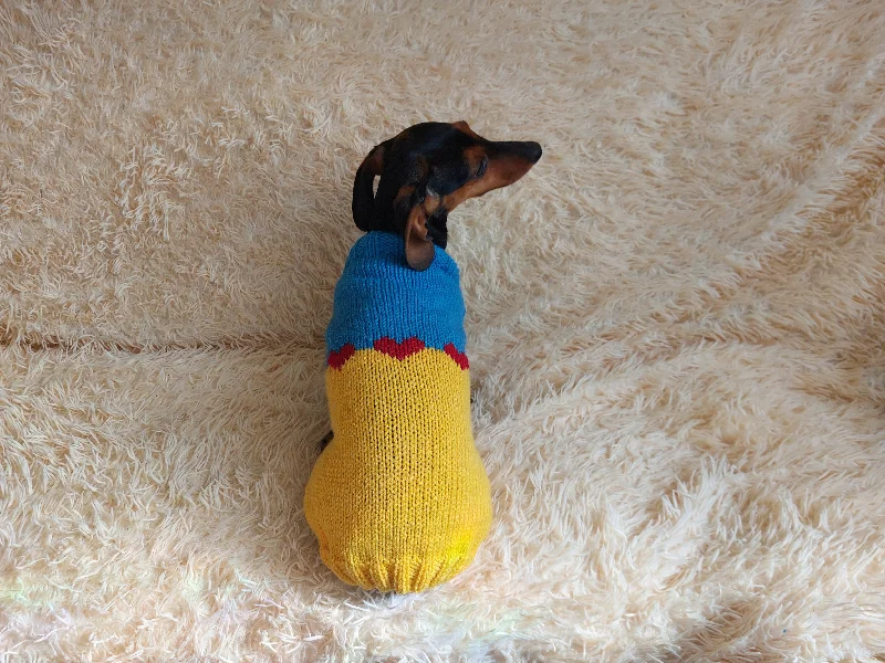 Pet lace clothesClothes for a dachshund or small dog knitted winter wool warm jumper with a pattern