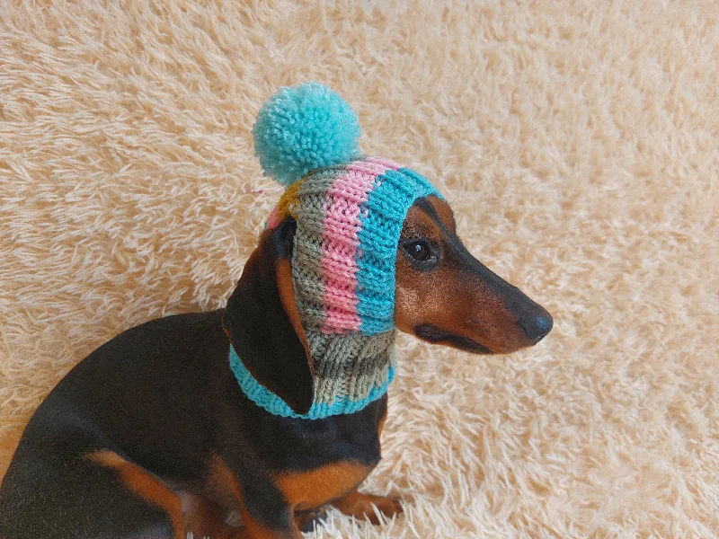 Pet Christmas clothesRainbow striped snood hat for dogs, rainbow hat for dachshunds with open ears