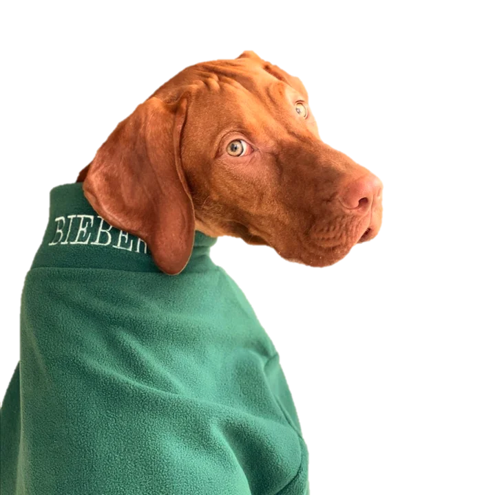 Pet winter warm clothesValiant Dog Jumper Green