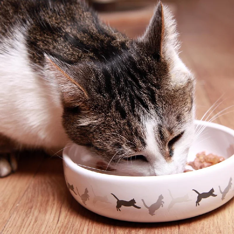    - Natural ingredient cat food  Provide Cat Food to Rescue Groups