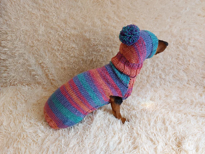 Pet birthday party clothesSet sweater and hat for dogs, sweater and hat for dachshunds, clothes for dogs, clothes for dachshunds