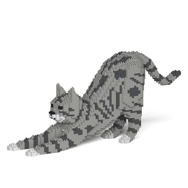    - High-protein cat food  Jekca: Grey Cat Stretch