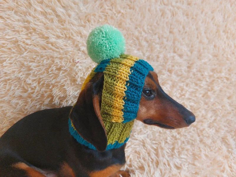 Pet Halloween clothesRainbow striped snood hat for dogs, rainbow hat for dachshunds with open ears