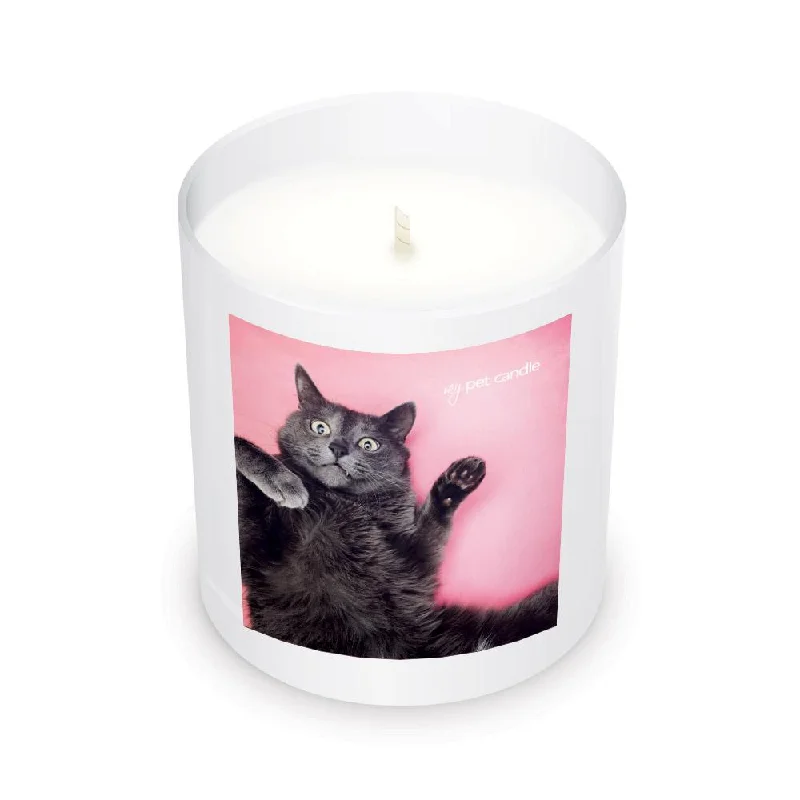    - Wholesale cat food prices  Selfie Cat Soy Wax Candle