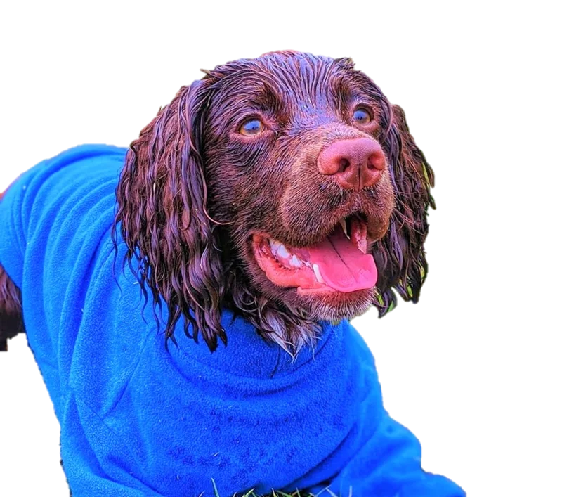 Pet raincoatValiant Dog Jumper Ocean Blue