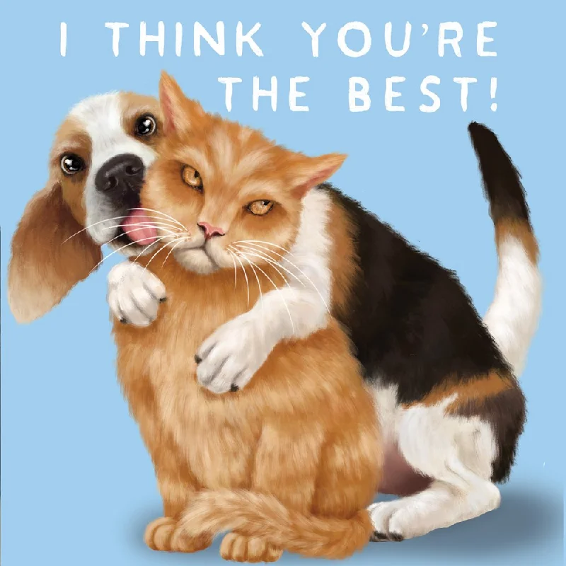    - Cat food for dental health  La La Land: Greeting Card Cat Dog