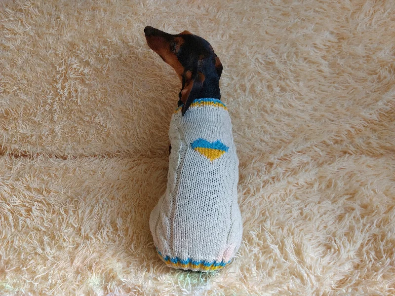 Pet night clothes with LED lightsClothes for a dachshund or small dog knitted winter wool warm jumper with a pattern