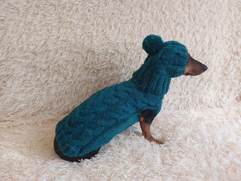 Focus on health and safety:Alpaca wool costume with classic arana sweater and hat for dachshund or small dog, winter set sweater and hat for dogs