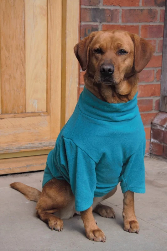 Pet ClothesValiant Dog Jumper Turquoise