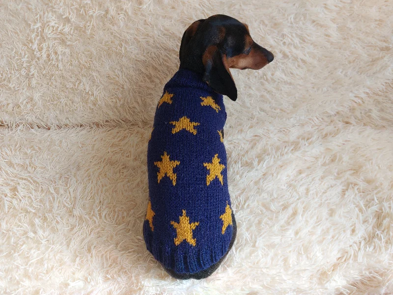 Pet retro style clothesClothes for a dachshund or small dog knitted winter wool warm jumper with a pattern